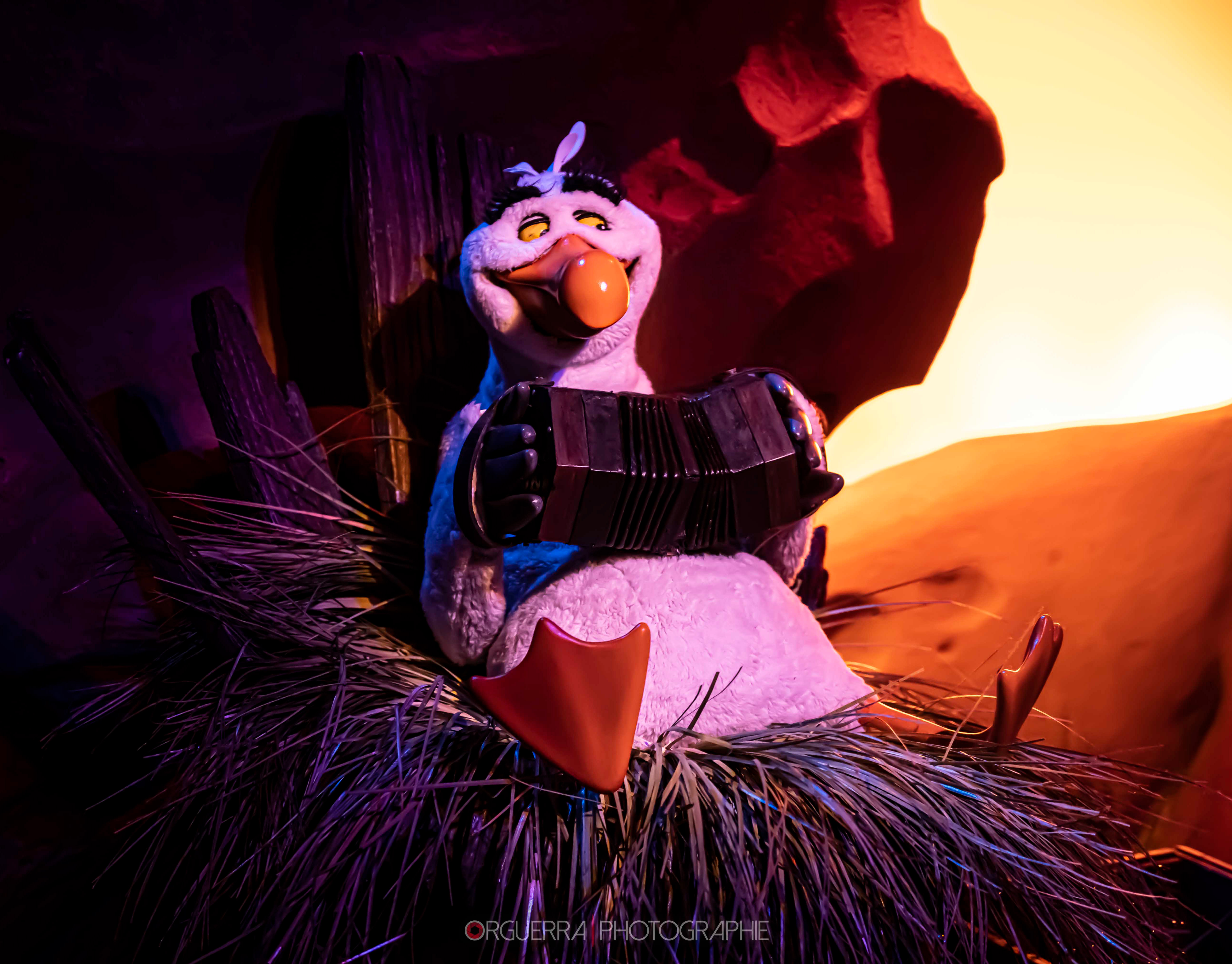 Magic Kingdom | Walt Disney World